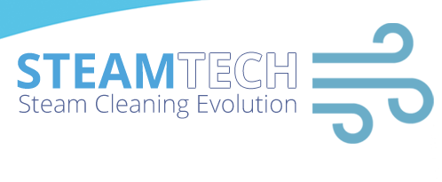 Steamtech Steam Cleaning Evolution